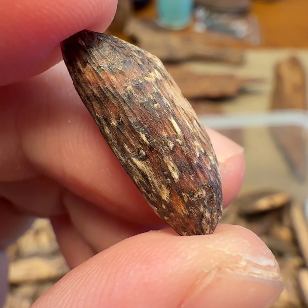 沉香香港大屿山棋韵瓜子