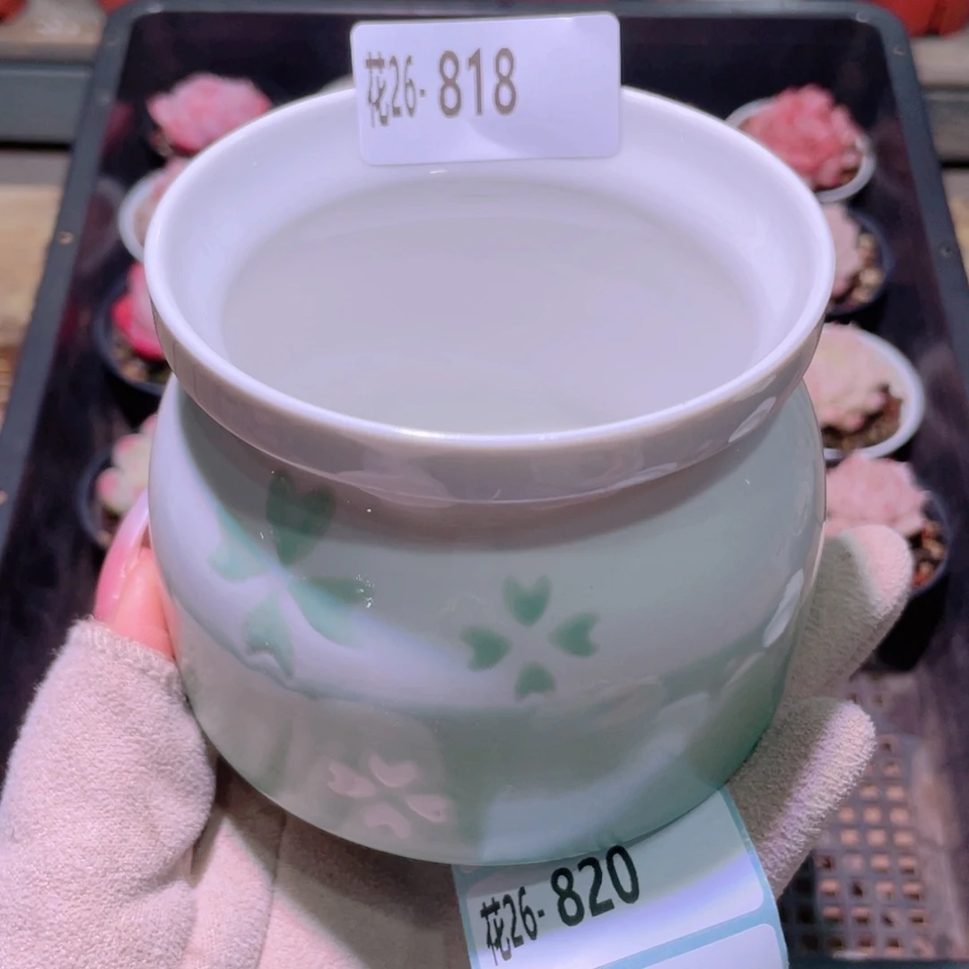 花利美26-818花盆