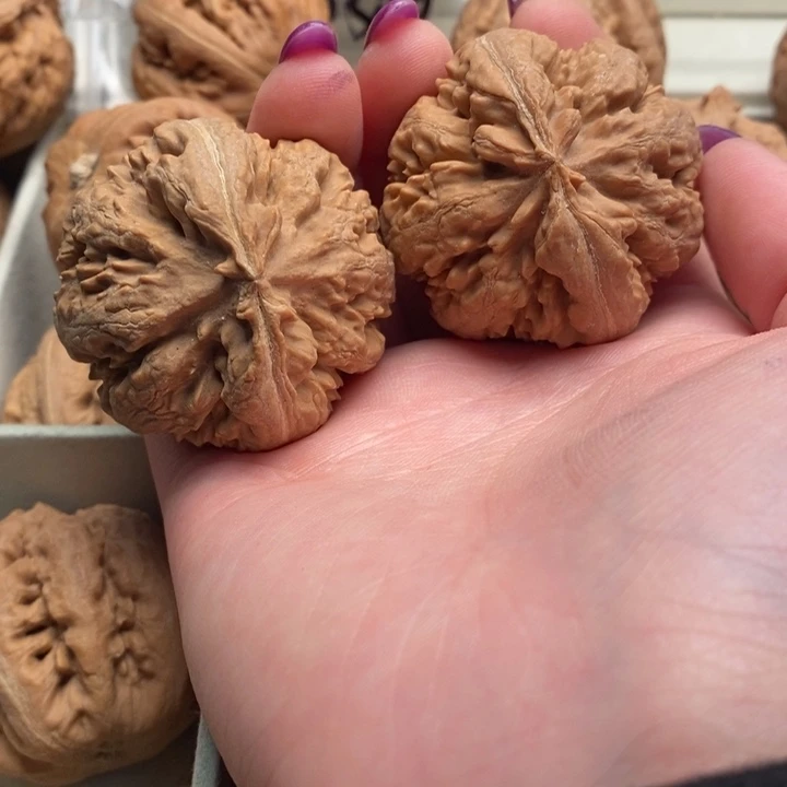 b***e手串文玩核桃霸王龙