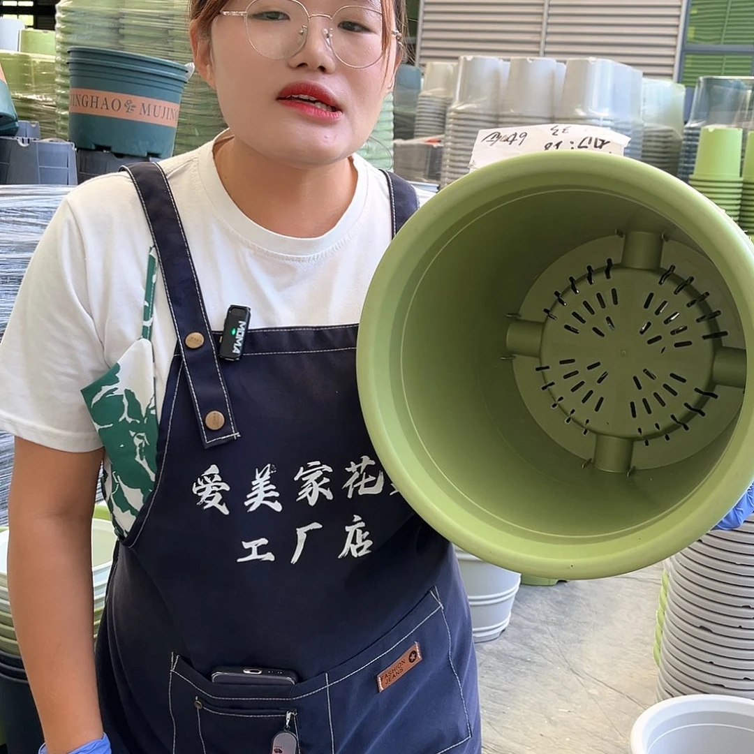四季盆7#果绿色6个无托