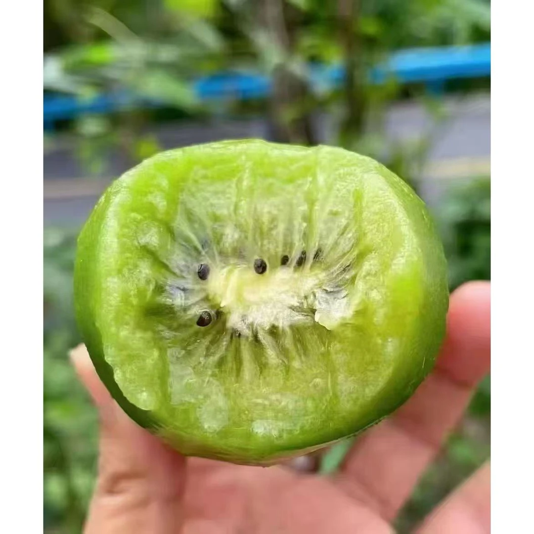 陕西周至眉县徐香绿心猕猴桃新鲜香甜多汁应季水果