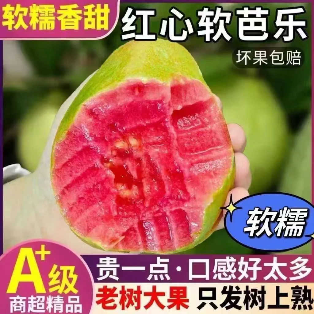 新鲜低糖低卡红心软芭乐红心番石榴软糯香甜水果番石榴芭乐