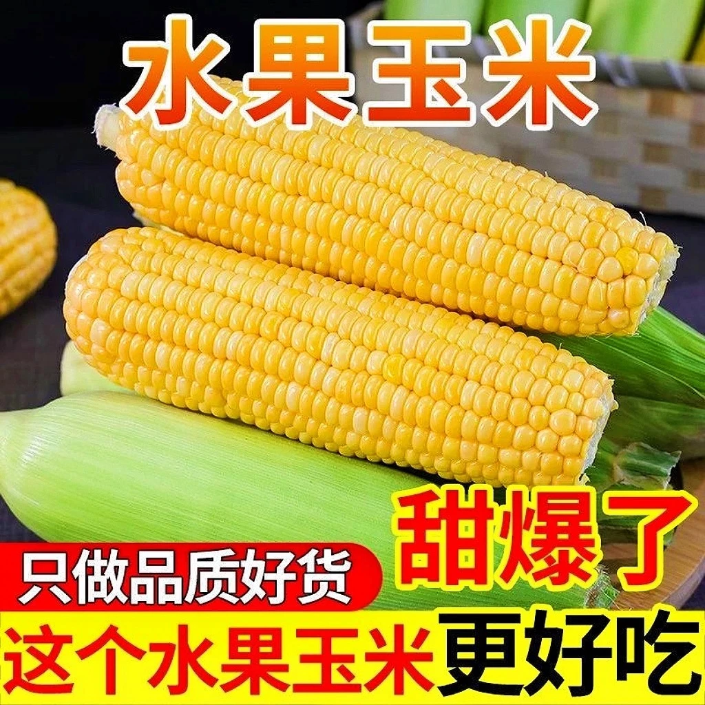 【产地云南】正宗云南水果甜玉米 现摘新鲜带皮甜脆玉米 可生吃