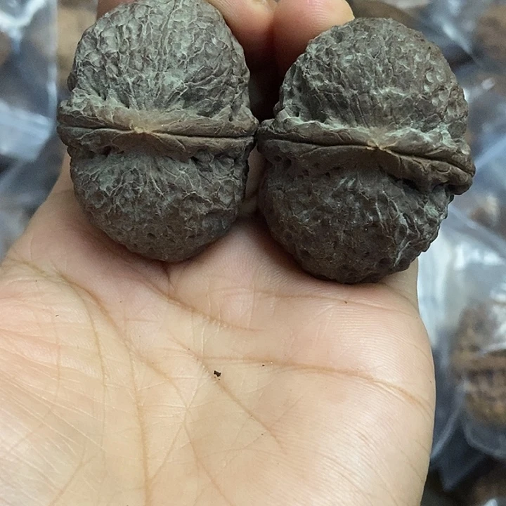 文玩核桃把件云南铁核桃基地27