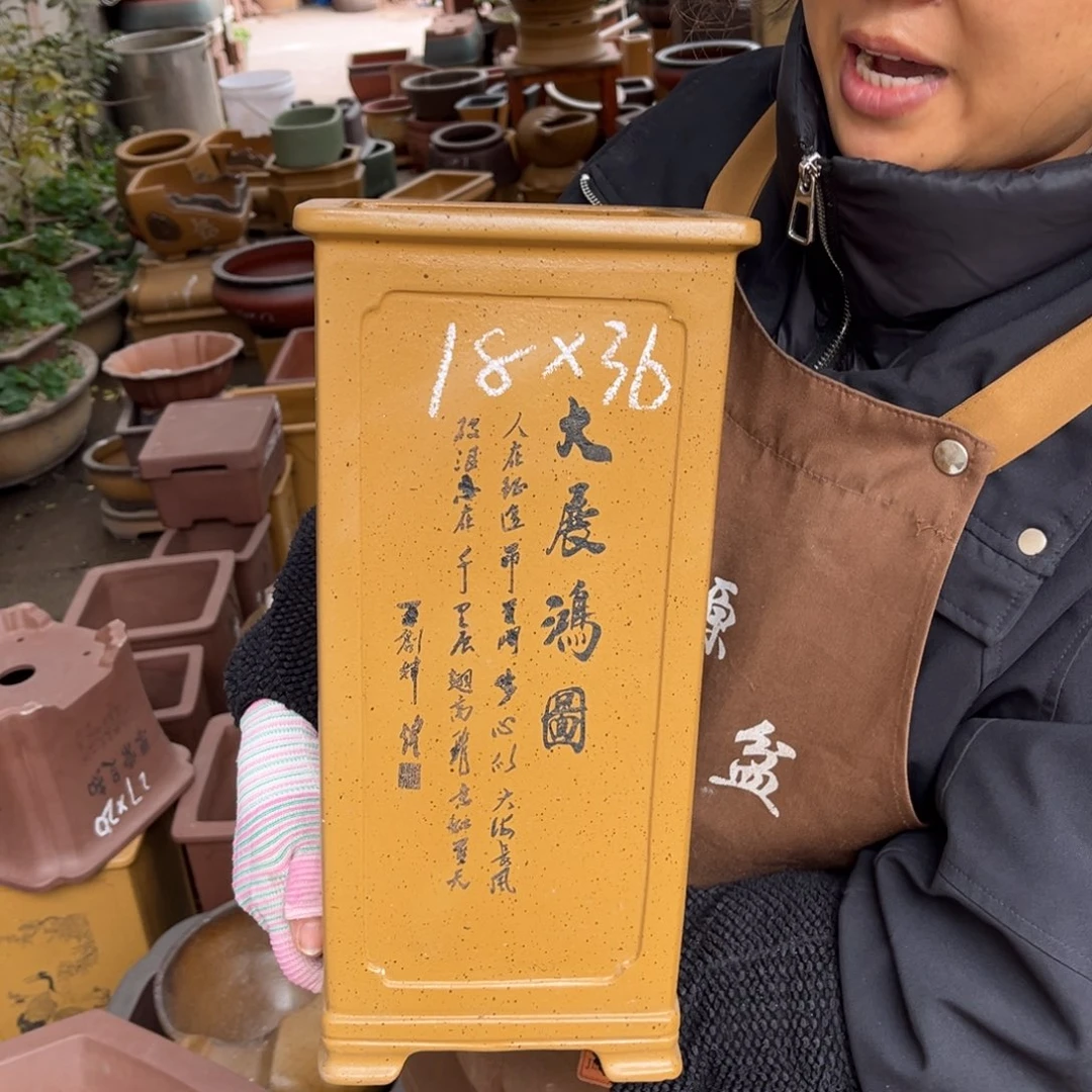 花盆紫砂盆景艺术