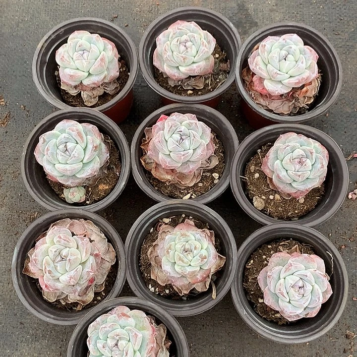 哈哈哈哈哈哈哈哈1