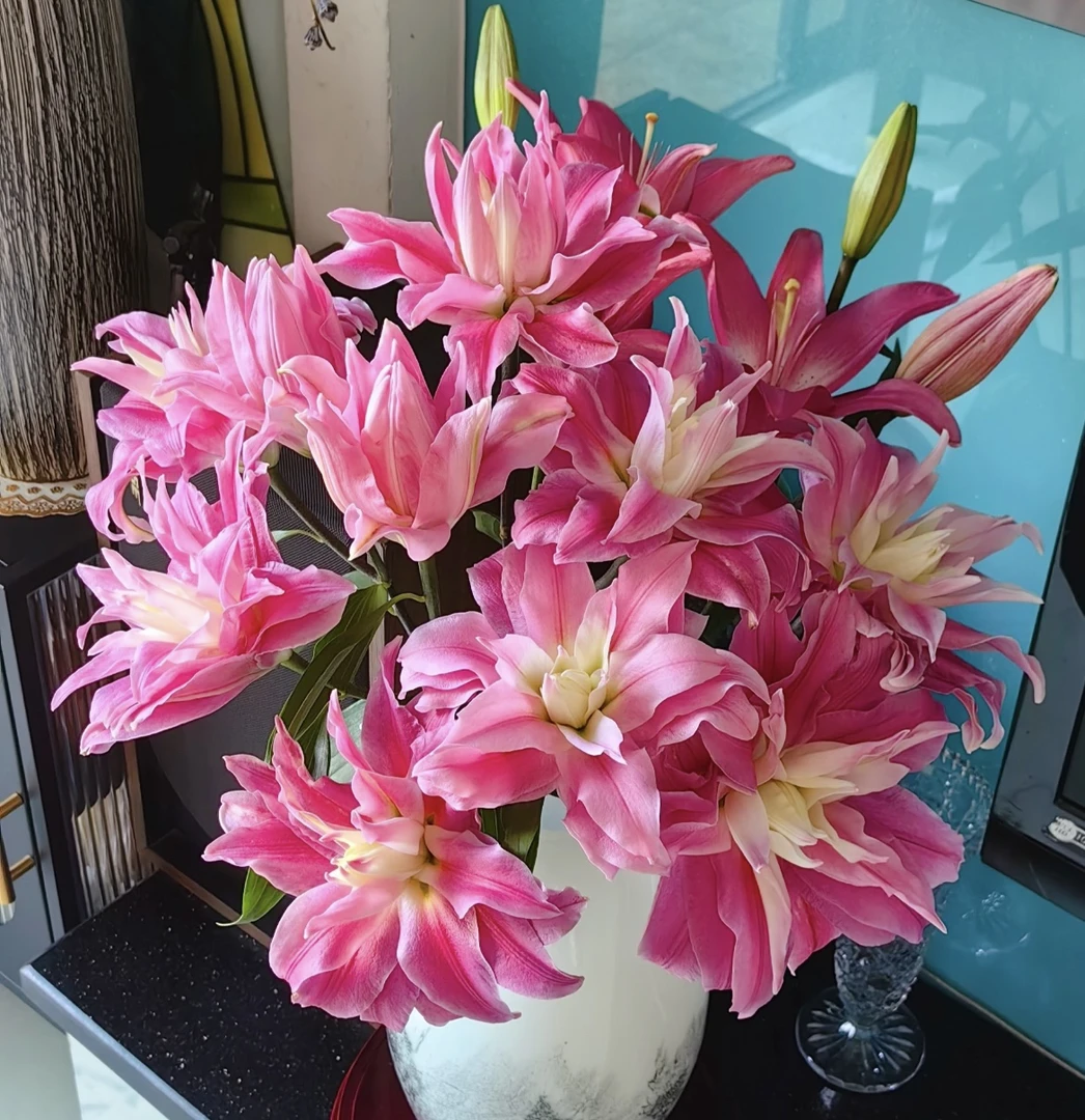 【红丝带多头5支保20头】拍两单鲜花升级冷链 只拍一单20%不售后