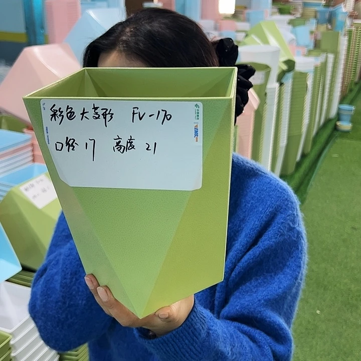 特价棱形FV170口17高21果绿带托6只