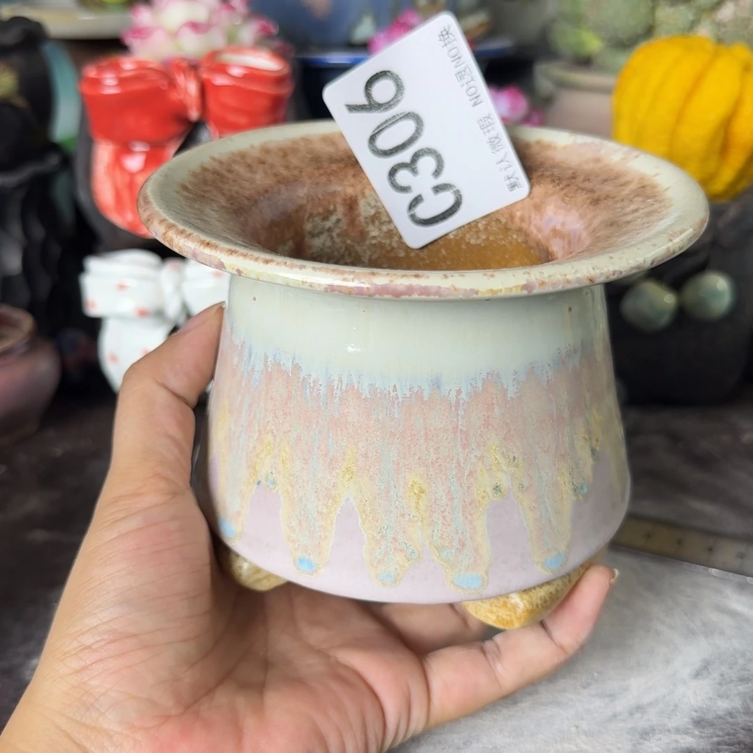 重庆小燕子欢迎大家306
