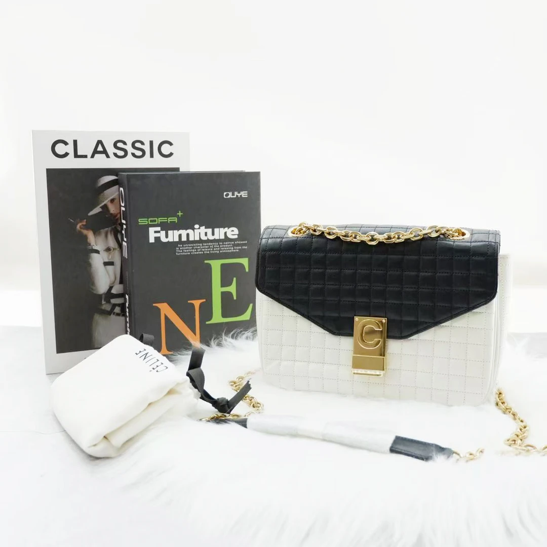 99新 Celine/思琳 豆腐单肩包/BJ250922003
