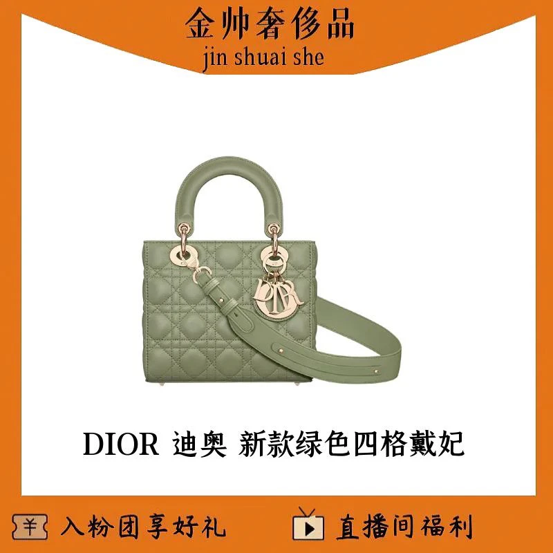 99新 DIOR/迪奥 绿色/四格戴妃/新款肩带/单肩包/B4843