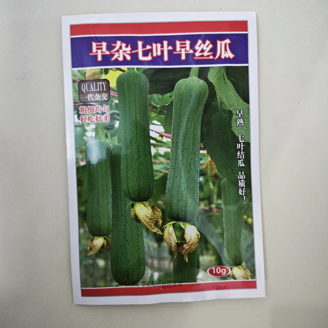 肉丝瓜籽早熟高产耐热爬藤香丝瓜庭院阳台易货蔬菜籽春秋四季播种