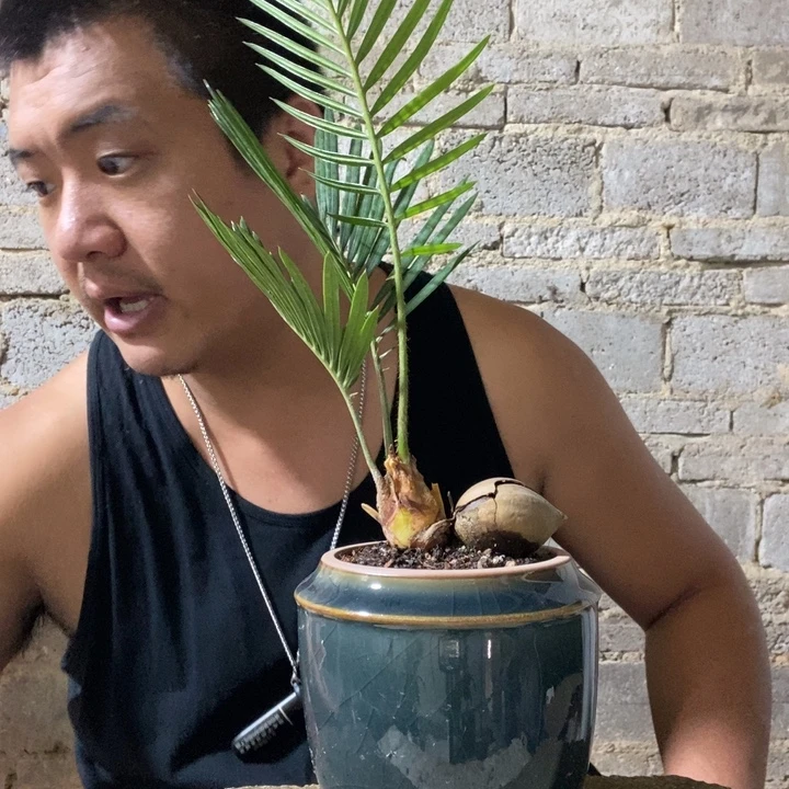 完全开放退款拉黑一物一拍216