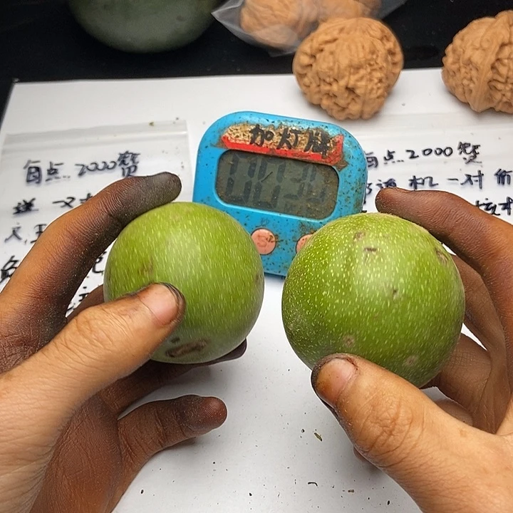 无***岁桃核吊坠555555555555