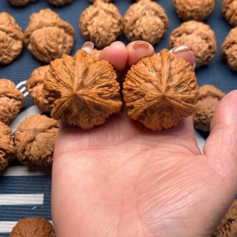 橄榄核手串/手链文山41