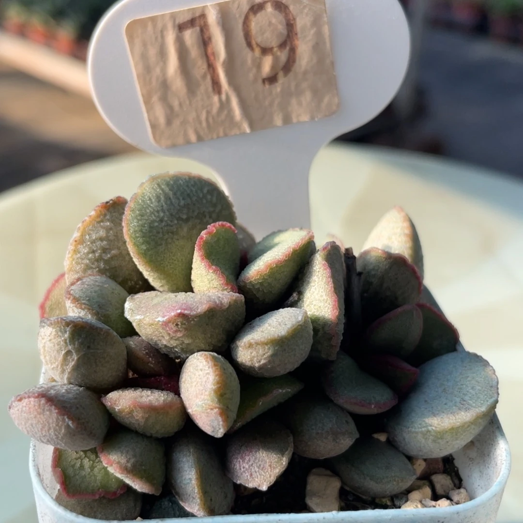 福利。   福利。