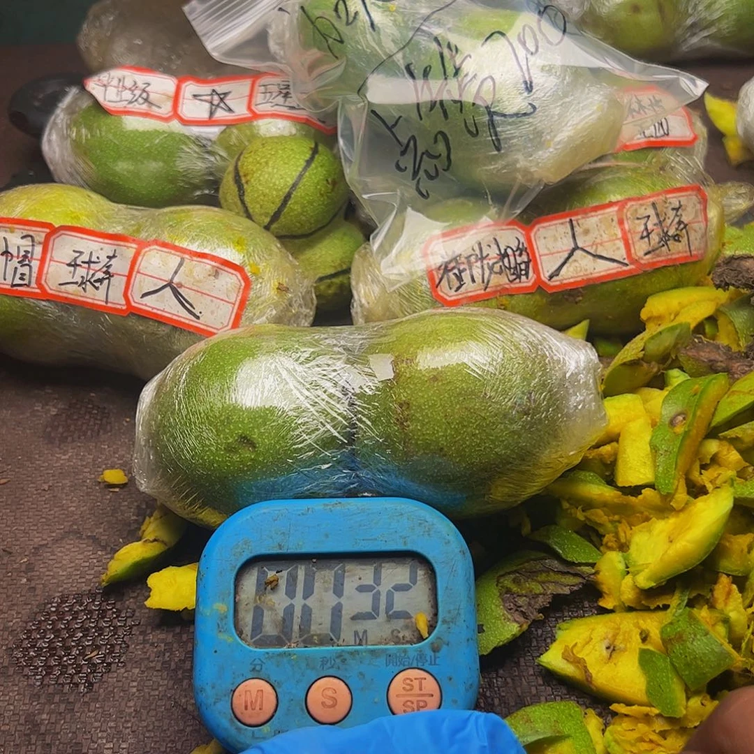 拥***酱青皮代开不退不换