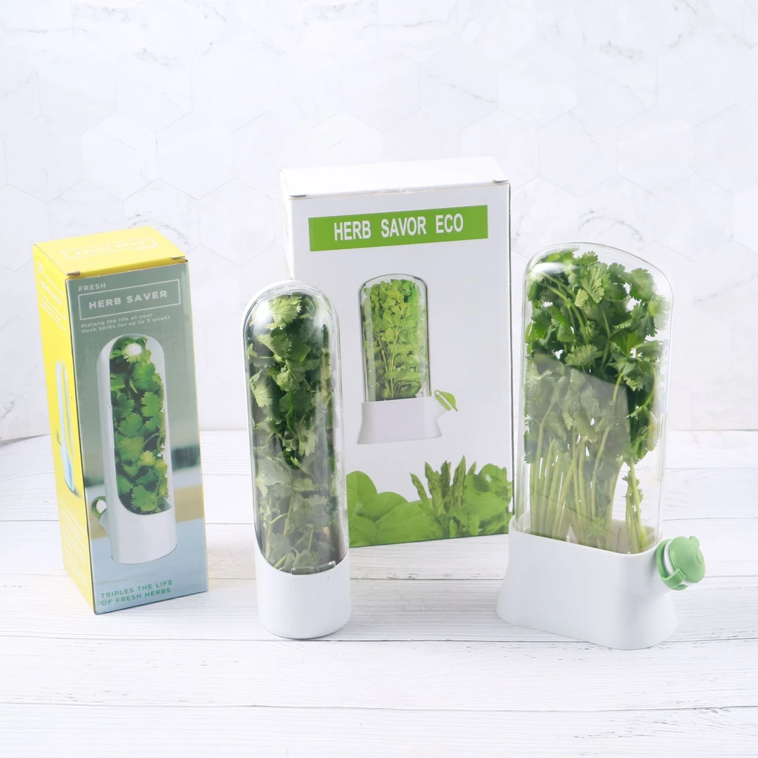 香草蔬菜保鲜盒防压坏环保保鲜器创意香菜保鲜杯养菜盒工厂