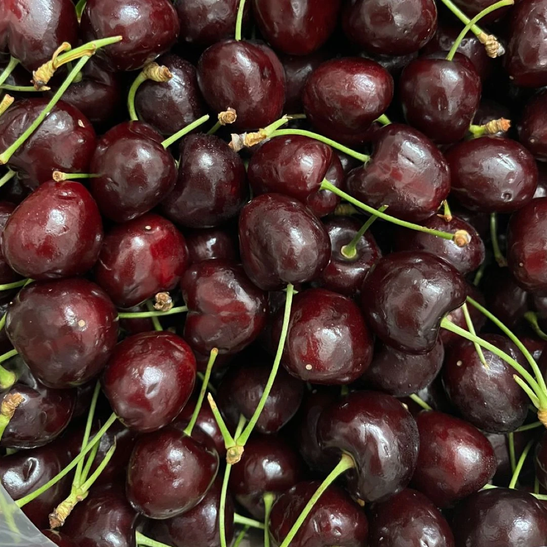 特价海运XL-4J车厘子1斤-5斤桑提娜智利