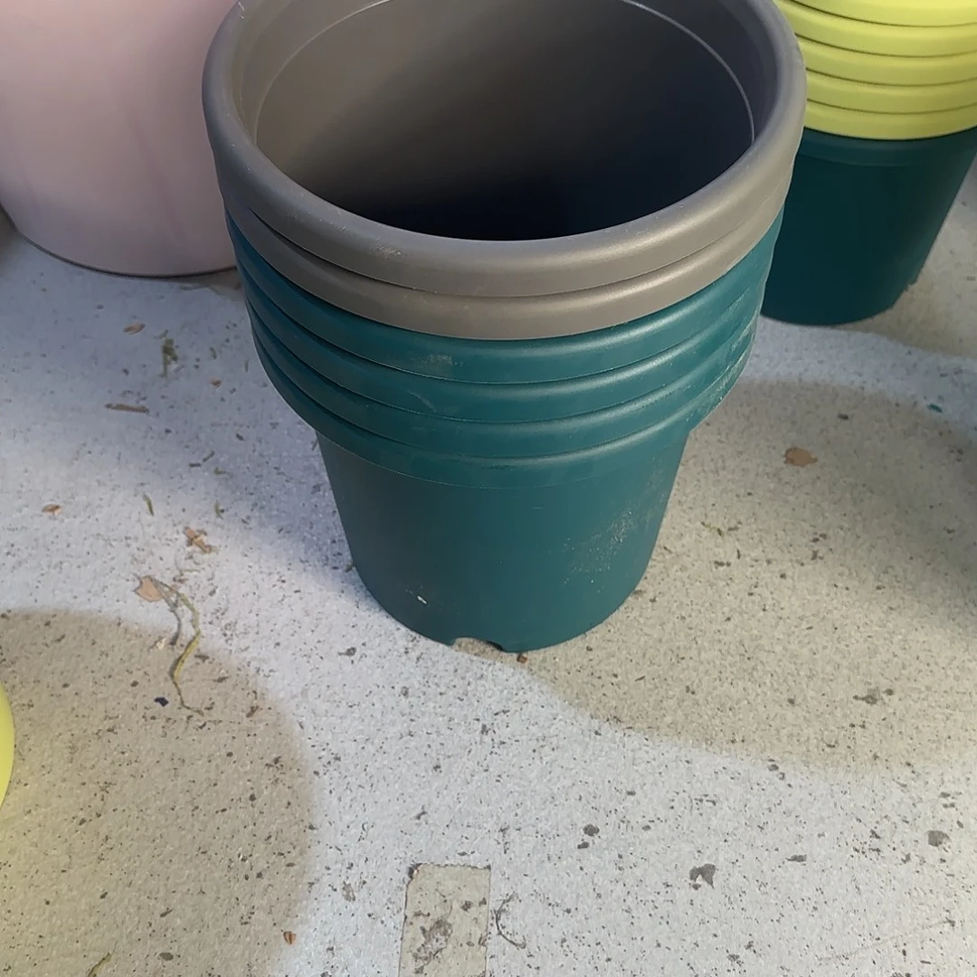 编号4506，4号无托