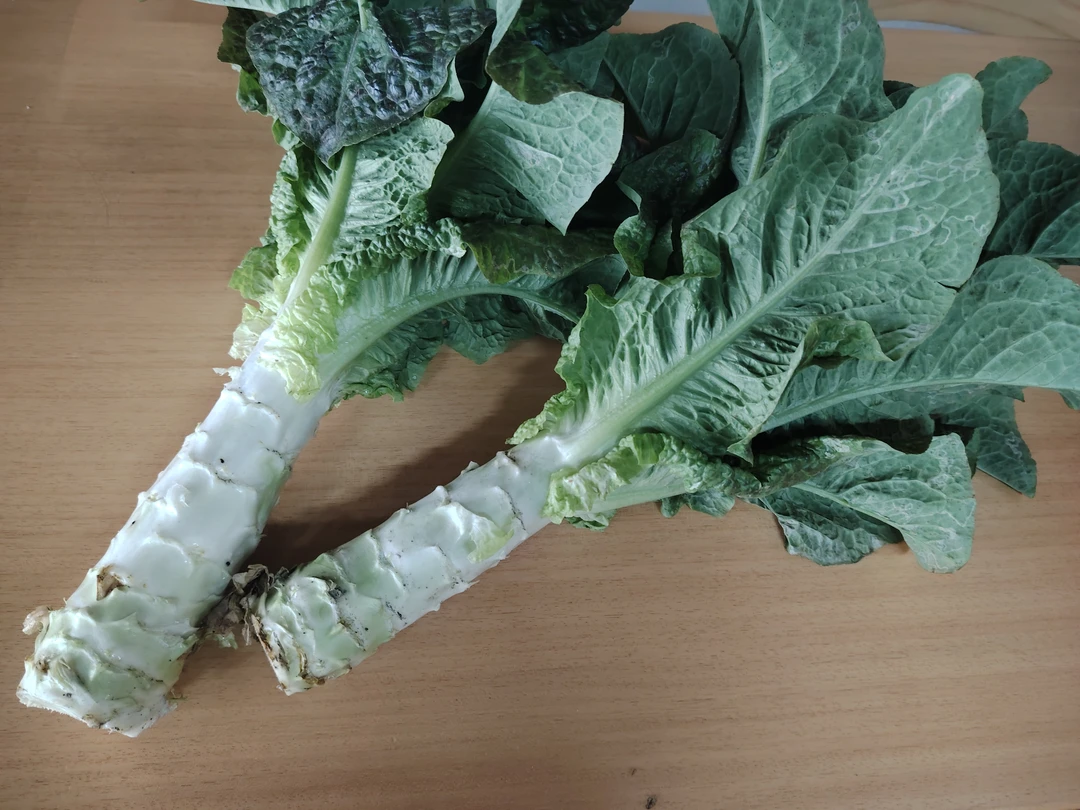 农家自种莴苣4.5~5斤  江浙沪皖包邮