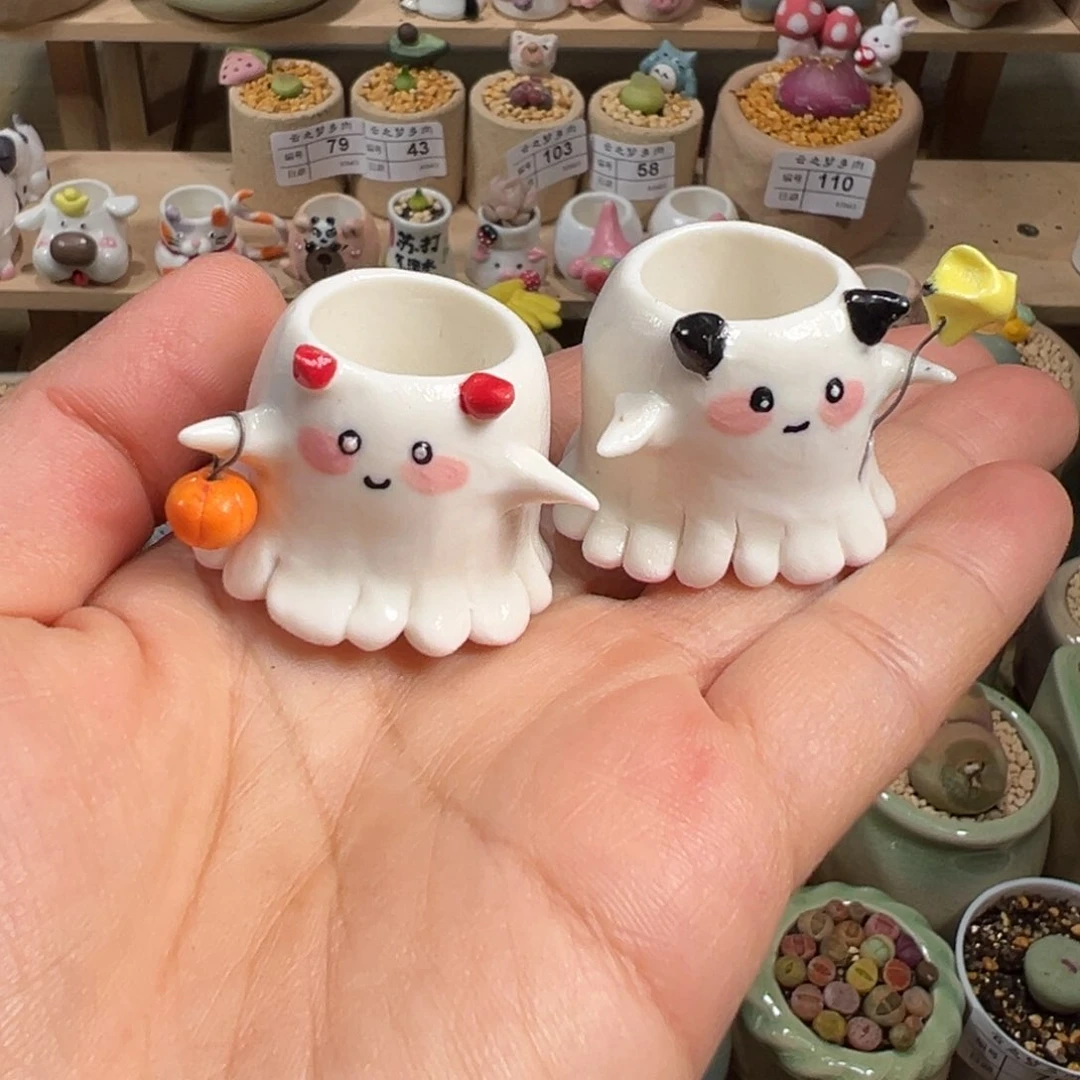 鹿*婧多肉植物113号两个花盆