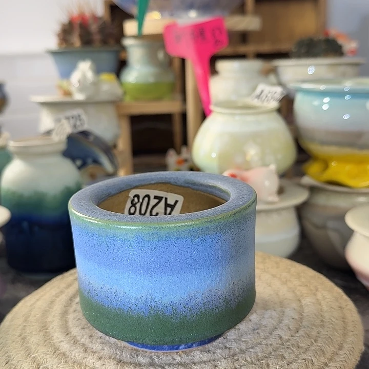 买五送一，当天凑够28口6高6.5