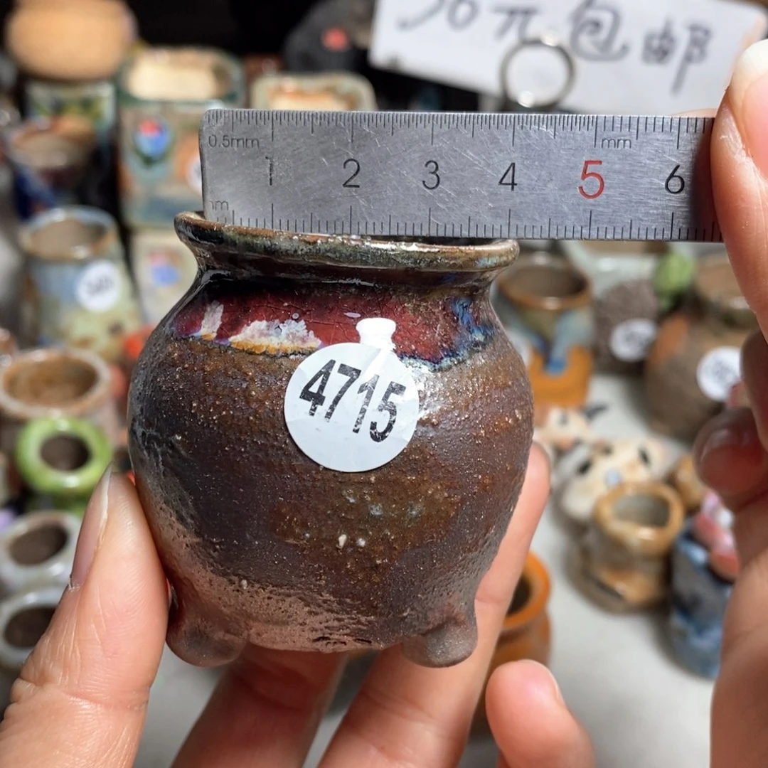 花盆拍5送一个小礼物