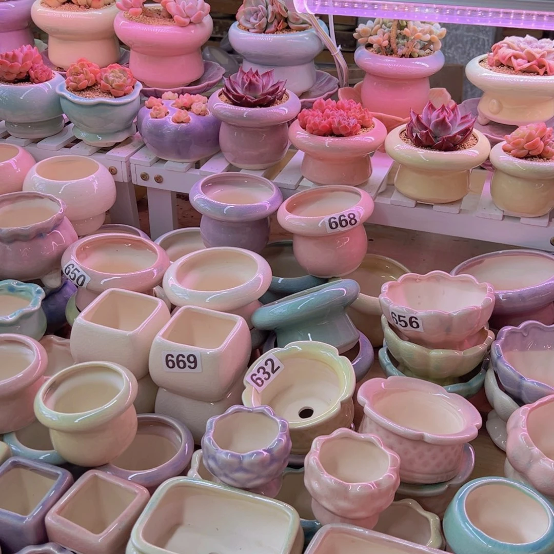 陶瓷花盆当场凑满12包邮