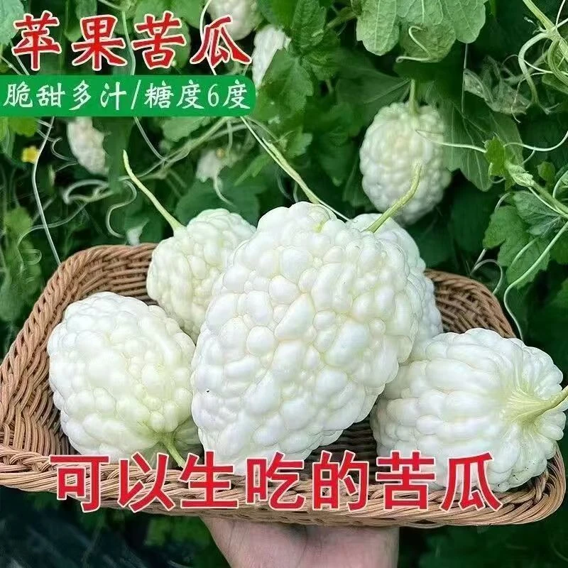 【春播种子】苹果苦瓜种子生吃不苦甘甜水果种子苦瓜种四季播种G