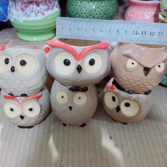 红陶11111111111111111111