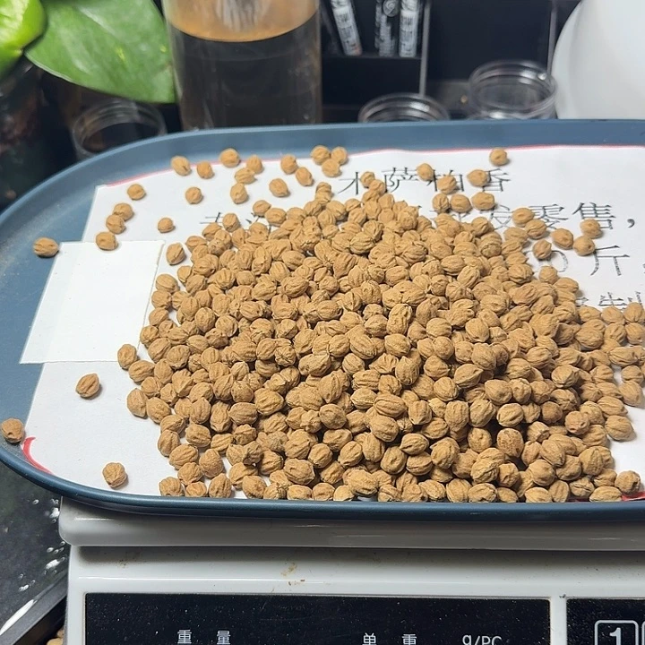 天***天柏香籽/百香籽吊坠7.75+198克FB024