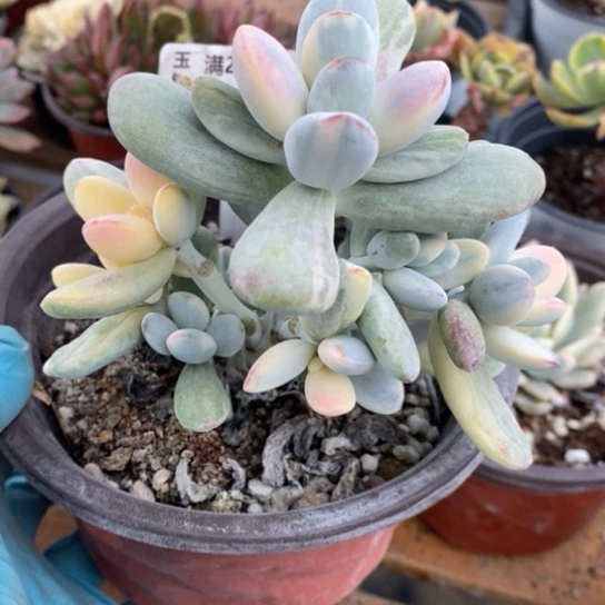 229一一一一一一一一一