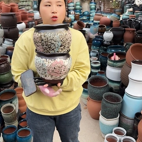 口20高18两个盆。