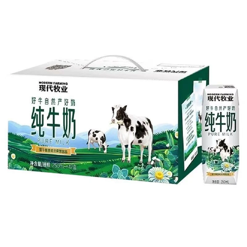 现代牧业纯牛奶250ml