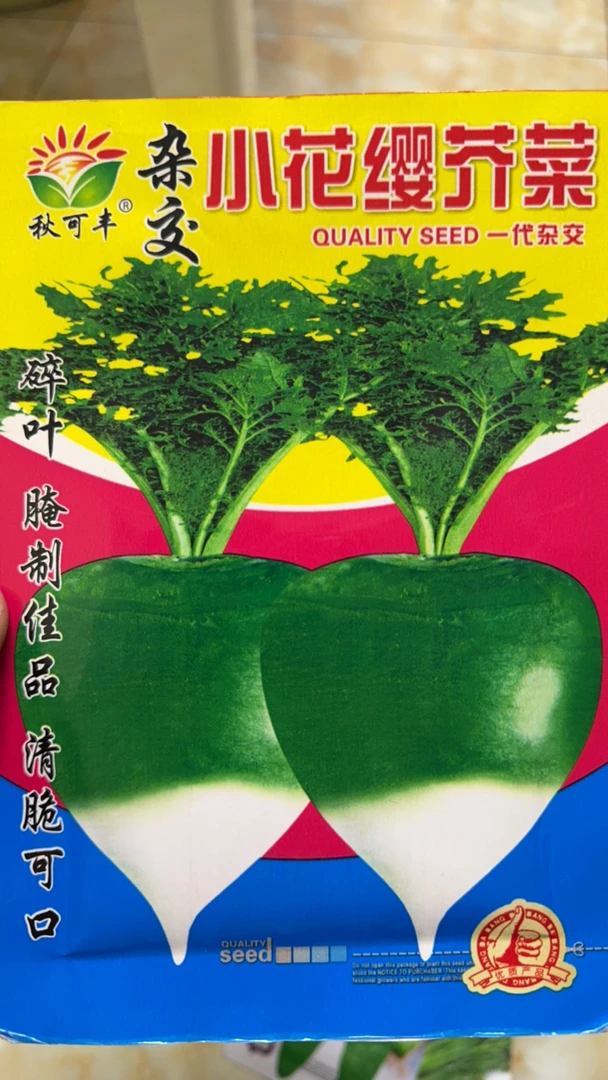 小花缨芥菜