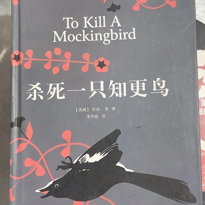 知更鸟新书推荐全新精装
