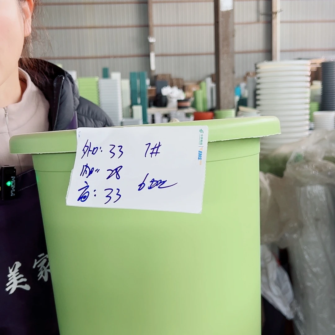 四季盆7#果绿6个无托