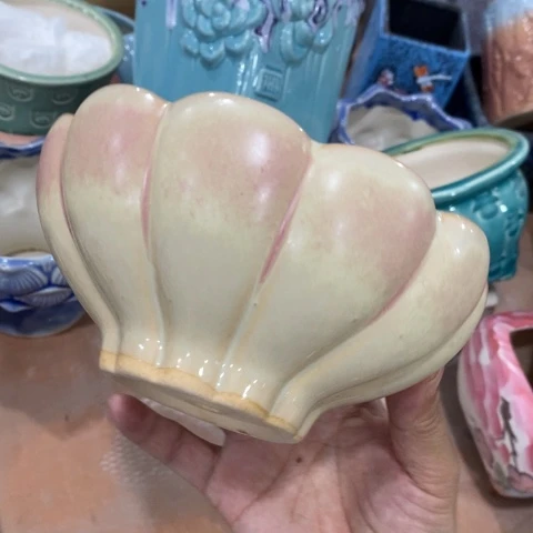 粉色花瓣313313434