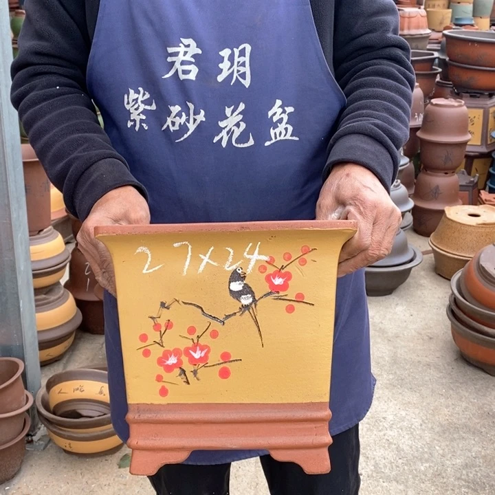 紫砂花盆盆栽花卉苗木