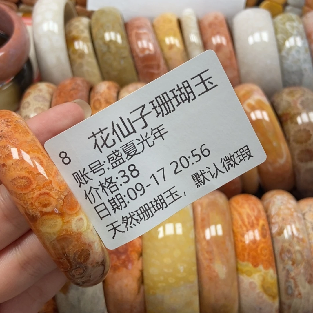 盛***年未镶嵌硅化珊瑚（珊瑚玉）珠宝半成品8