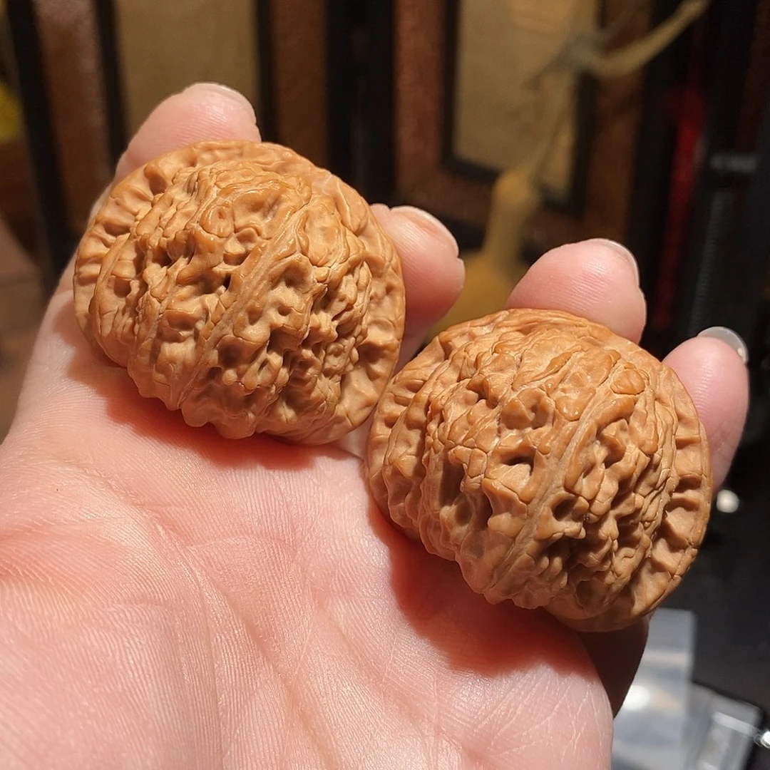 文玩核桃把件44白狮子全品