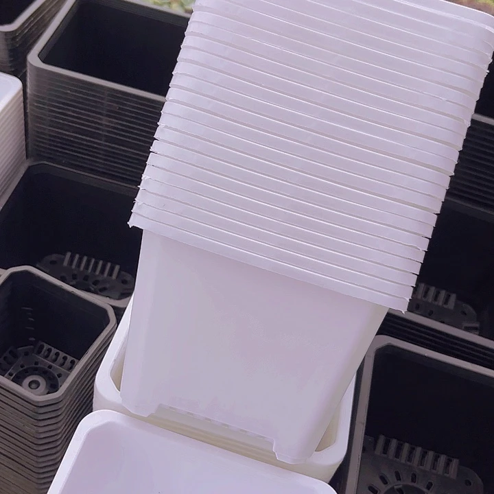 160白方盆15公分高11公分15个