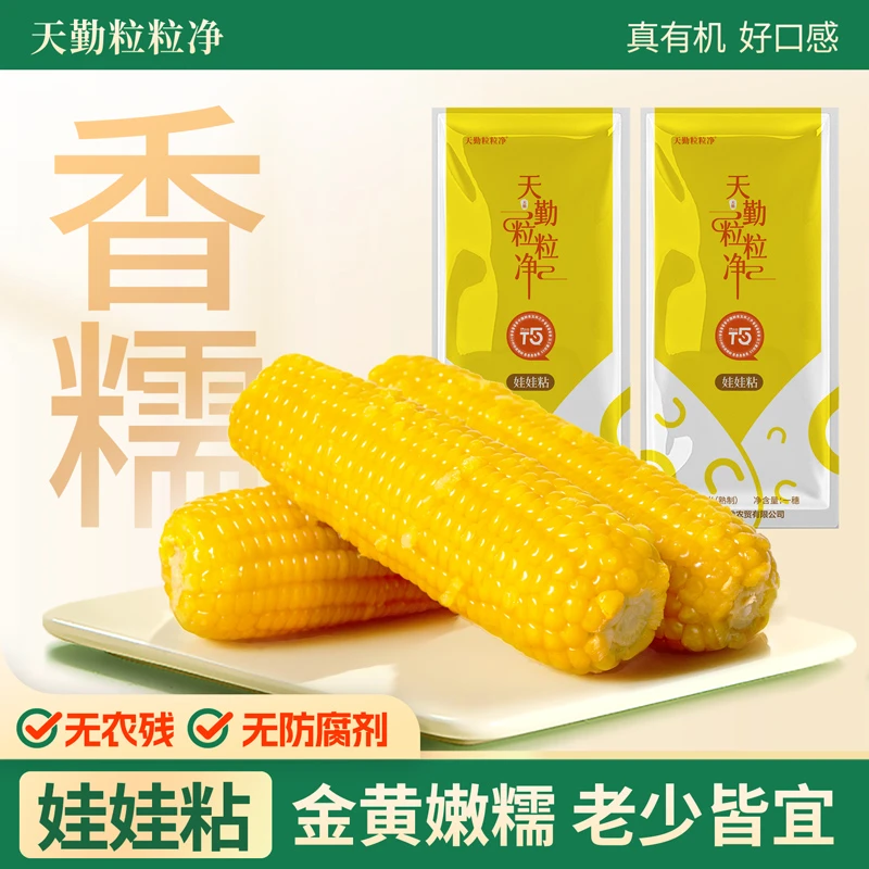 【25年新玉米】天勤粒粒净有机黄甜糯玉米减脂代餐营养粗粮黏苞米