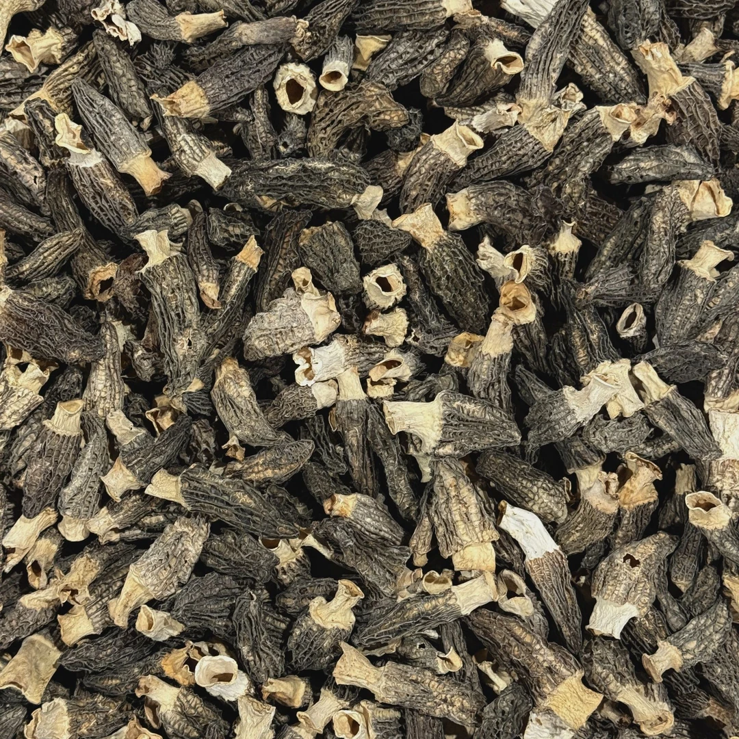 606320羊肚菌干菌菇