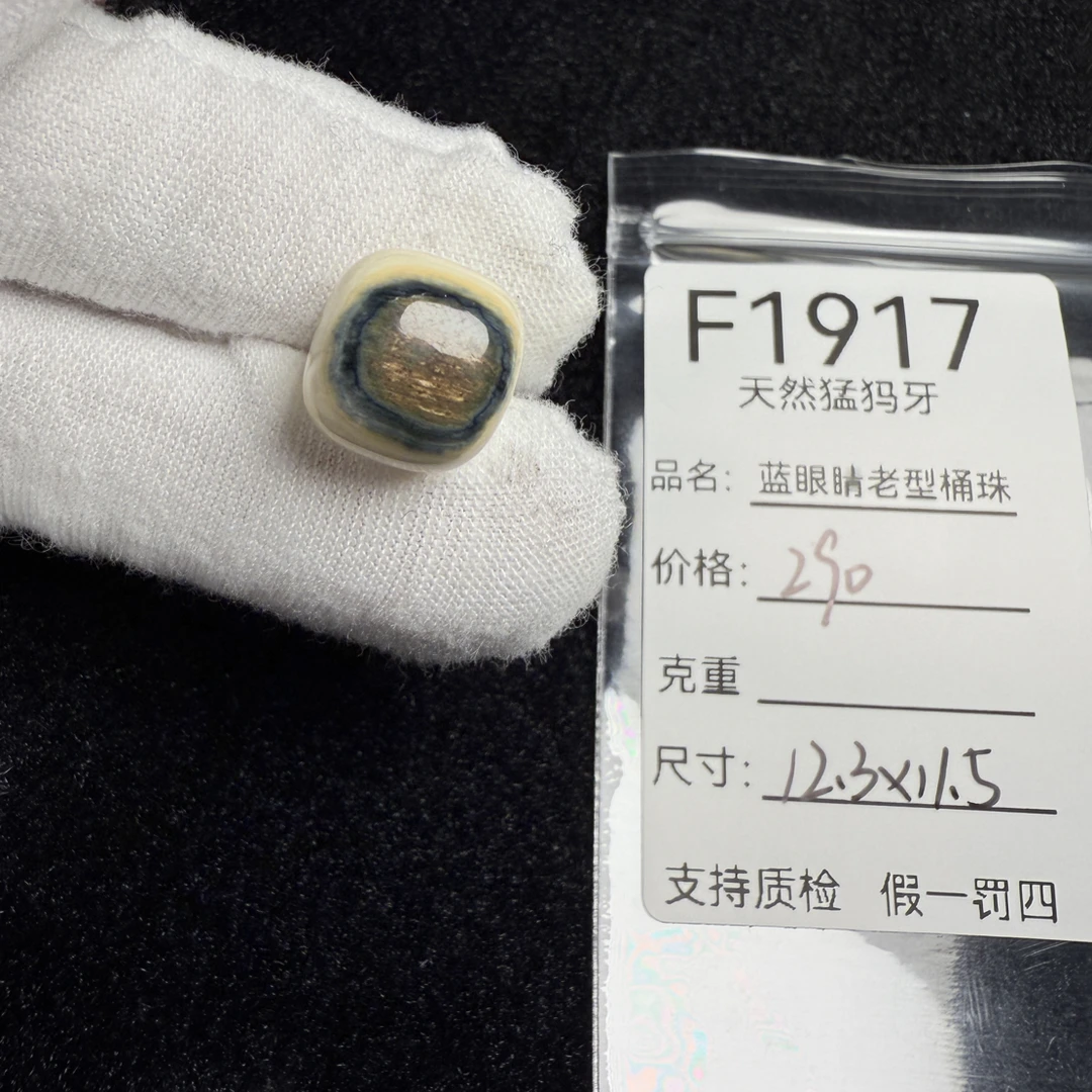 F1917天然猛犸象牙蓝皮老型桶珠墩子顶珠配珠配饰12.3*11.5mm
