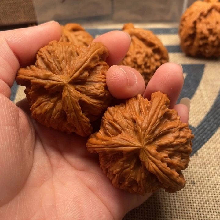 禁***言核桃白狮子44核桃