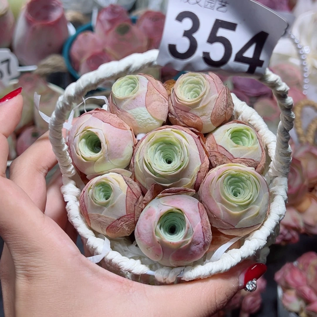354一篮水蜜桃组合。