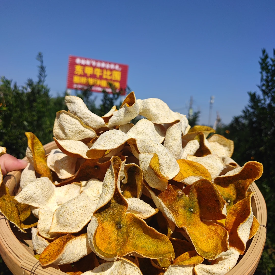 【东甲牛比围大红皮】2025年新会东甲牛比围原枝14年老树