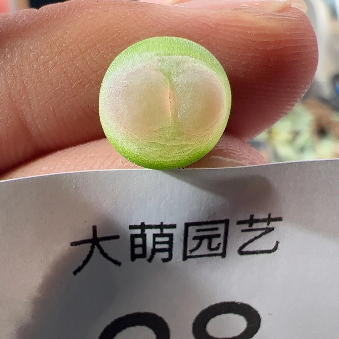 一物一拍。          28